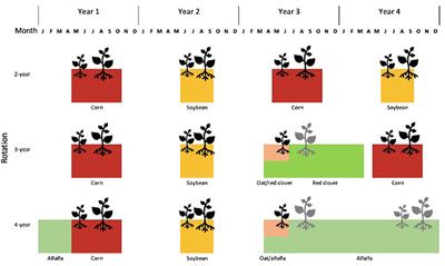 Impact of Cropping System Diversification on Vegetative and Reproductive Characteristics of Waterhemp (Amaranthus tuberculatus)